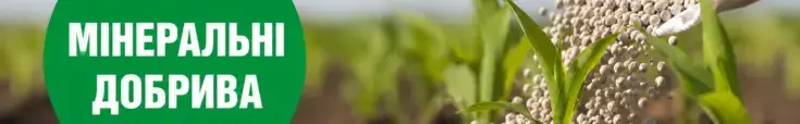 Реклама